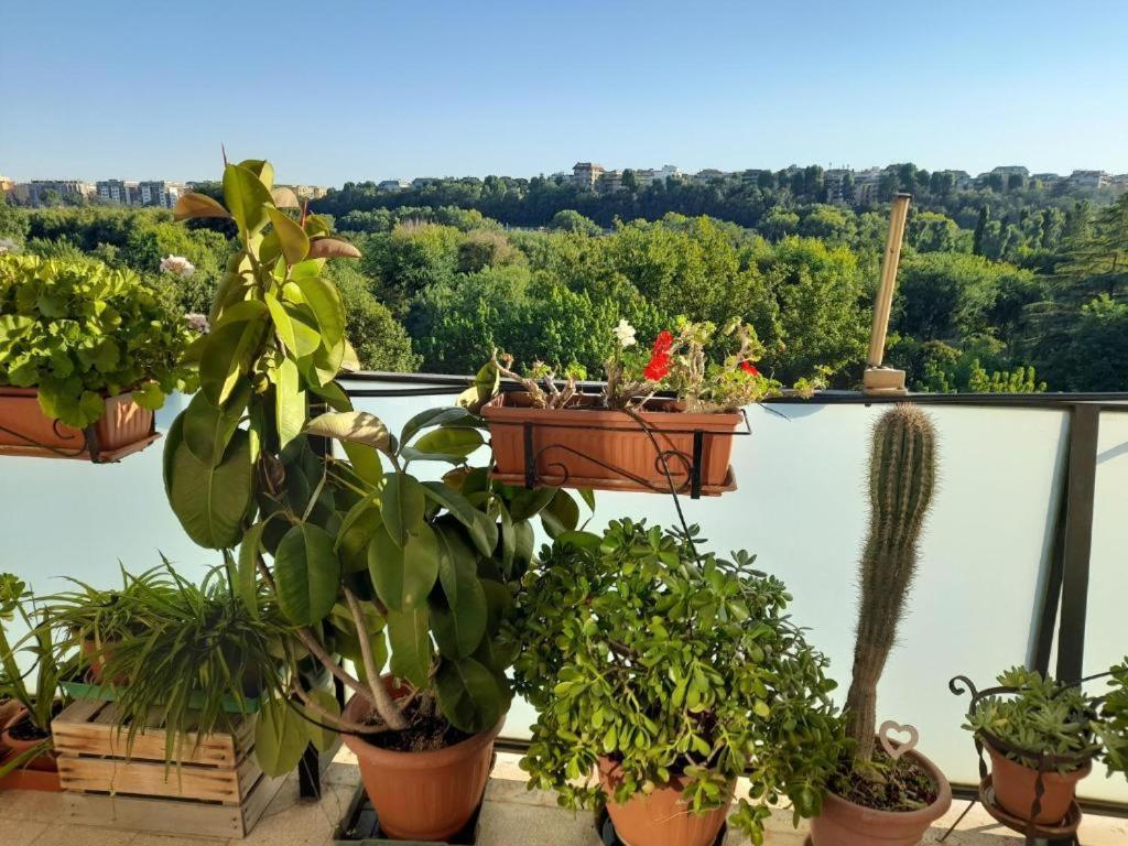 Conca D'oro 212 Appartement